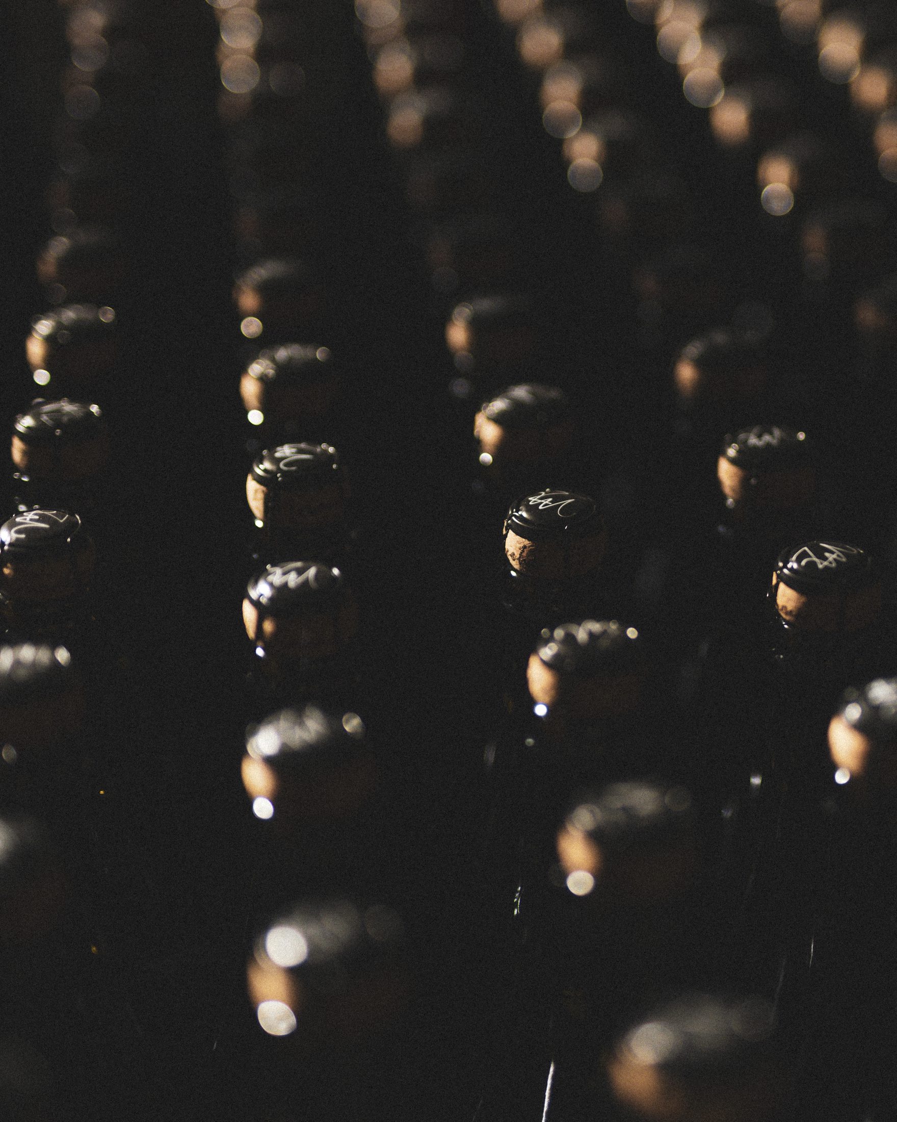 Wine Shop